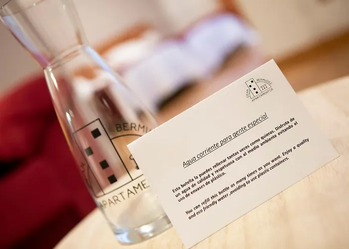 Cean Bermudez * Χιχόν