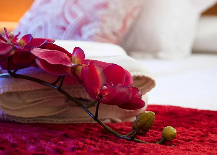 Cean Bermudez Apartament *